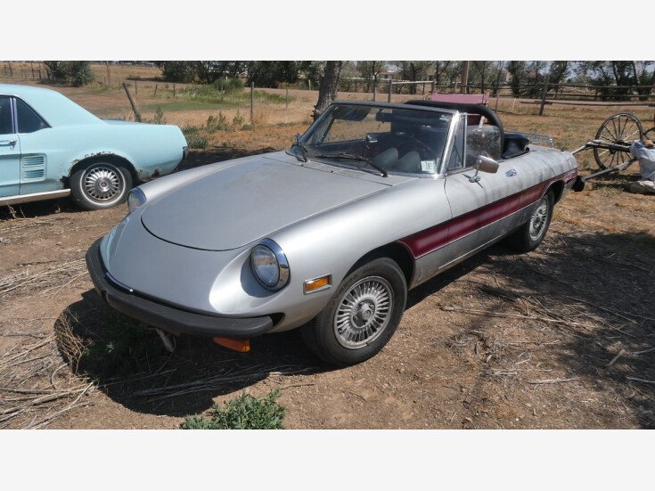 Thumbnail Photo undefined for 1978 Alfa Romeo Spider Veloce